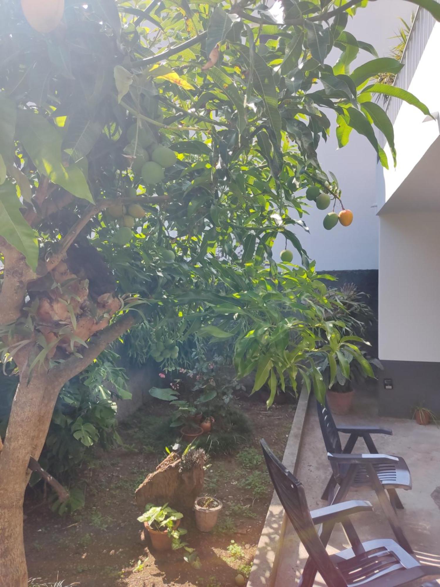 Casa Da Avo Rosa Apartment Sao Vicente  Exterior photo